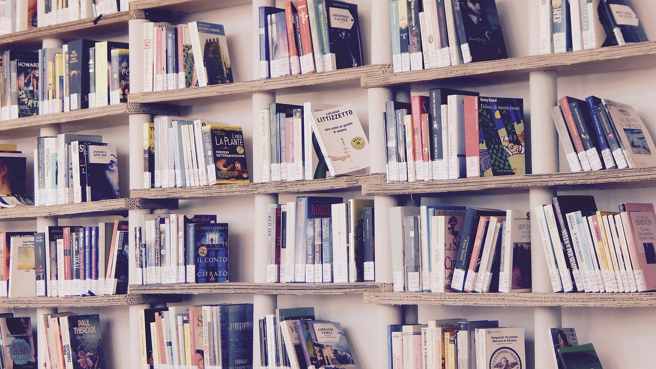 Minimalistische boekenplanken in een compacte ruimte. Minimalistische boekenplanken in een compacte ruimte.