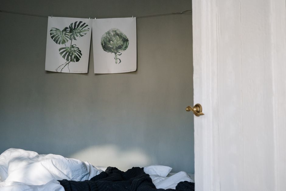 Schildpadkunstwerk brengt sereniteit in minimalistisch interieur Schildpadkunstwerk brengt sereniteit in minimalistisch interieur